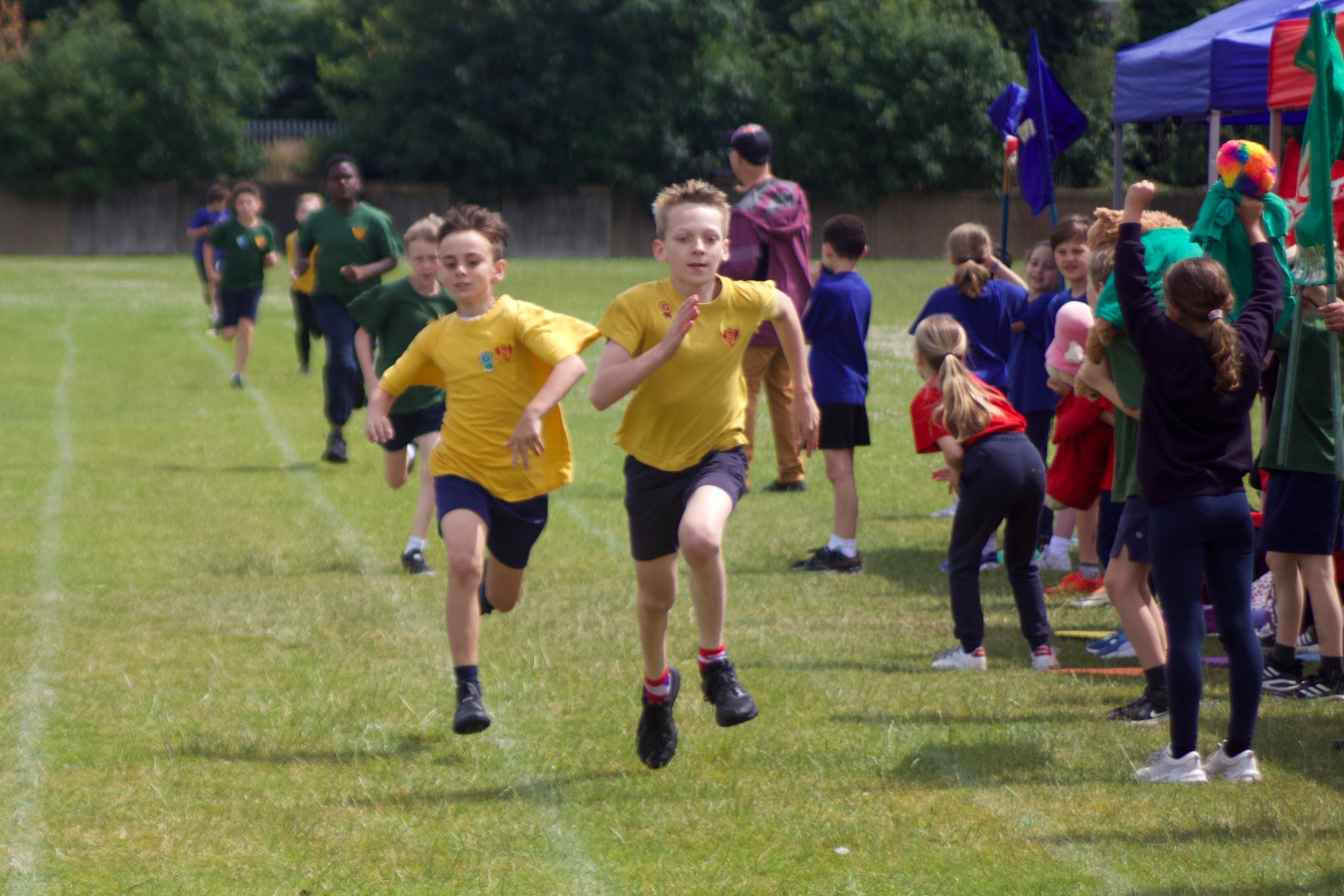 Sports Day Sport Image